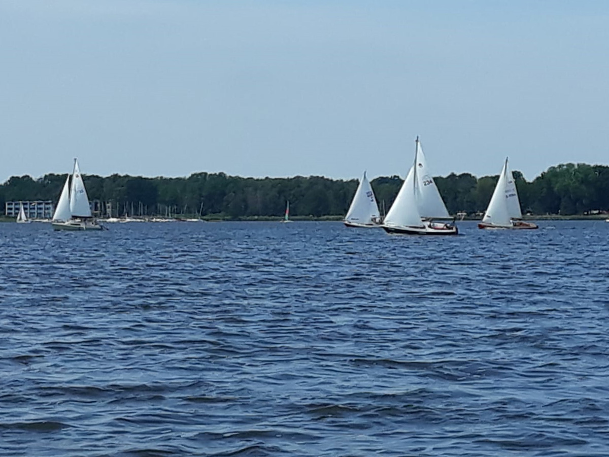 Segeln über das Steinhuder Meer