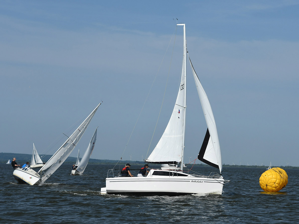 Boote bei der Steinhuder Meer Rund Regatta
